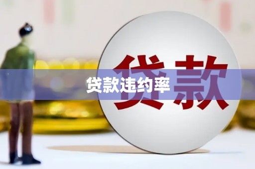 乐东贷款违约率