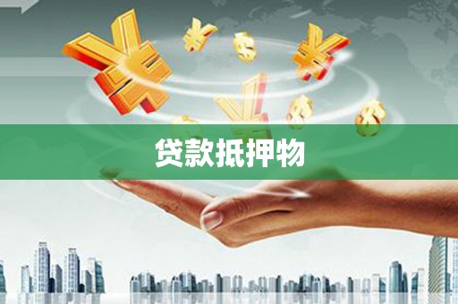 乐东贷款抵押物