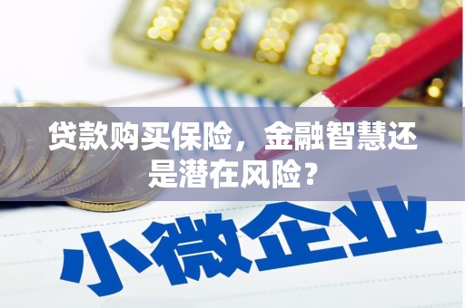 乐东贷款购买保险，金融智慧还是潜在风险？