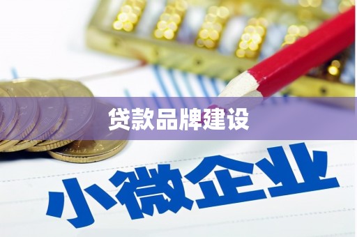 乐东贷款品牌建设