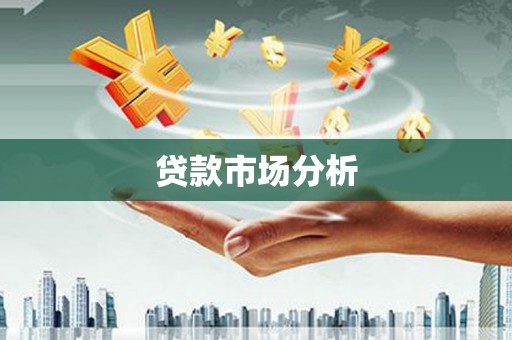 乐东贷款市场分析