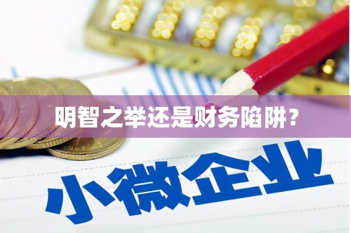 乐东明智之举还是财务陷阱？