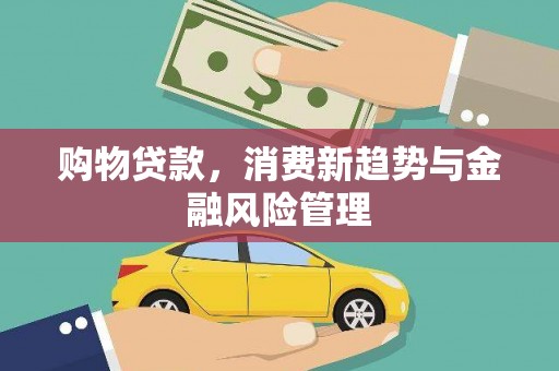 乐东购物贷款，消费新趋势与金融风险管理