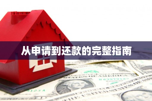 乐东从申请到还款的完整指南