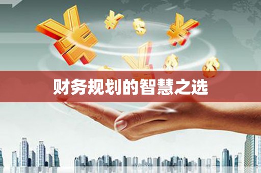 乐东财务规划的智慧之选