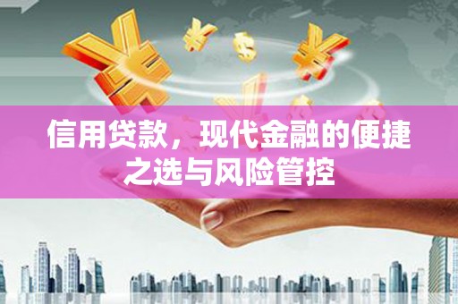 乐东信用贷款，现代金融的便捷之选与风险管控