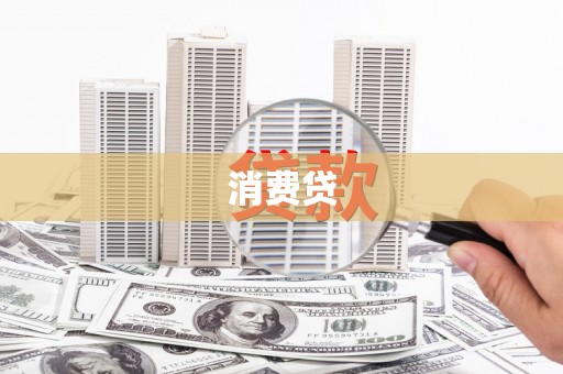 乐东消费贷