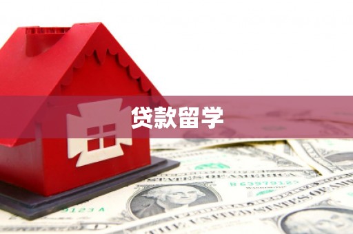 乐东贷款留学