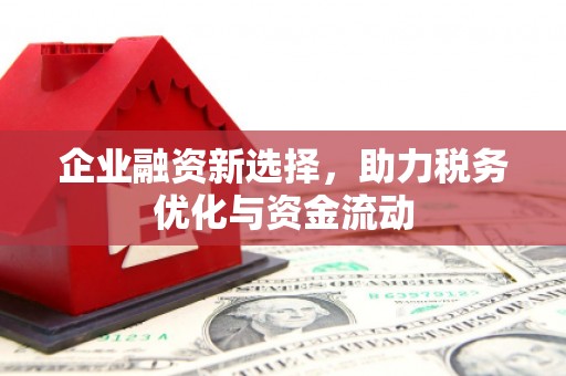 乐东企业融资新选择，助力税务优化与资金流动