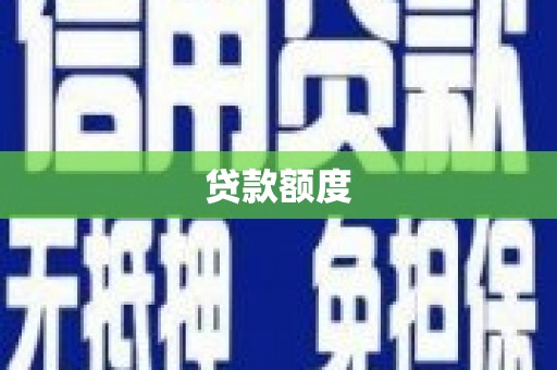 乐东贷款额度