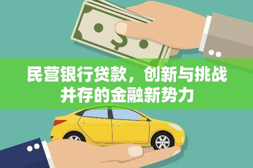 乐东民营银行贷款，创新与挑战并存的金融新势力
