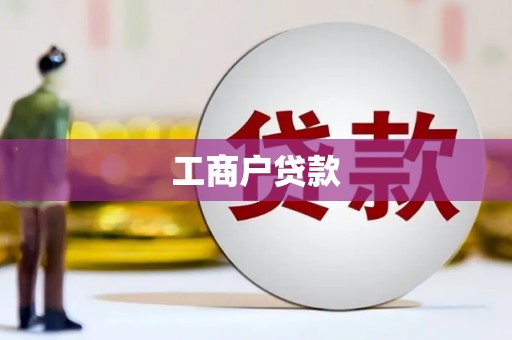 乐东工商户贷款