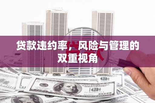 乐东贷款违约率，风险与管理的双重视角
