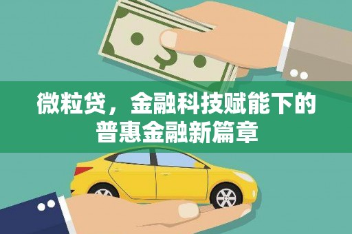 乐东微粒贷，金融科技赋能下的普惠金融新篇章