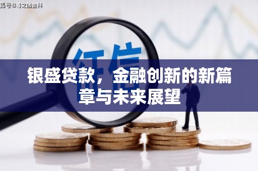 乐东银盛贷款，金融创新的新篇章与未来展望
