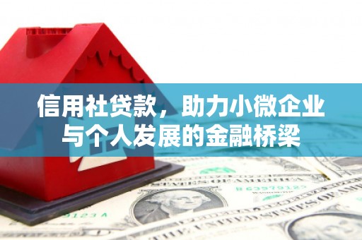 乐东信用社贷款，助力小微企业与个人发展的金融桥梁