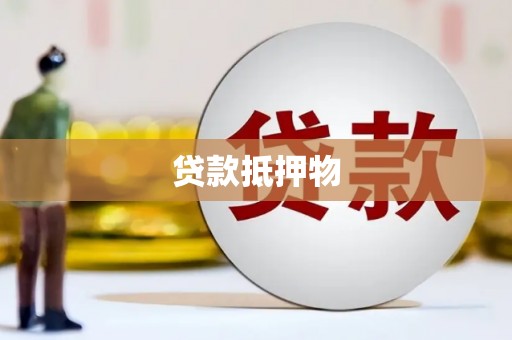 乐东贷款抵押物