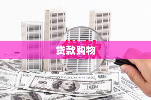 乐东贷款购物