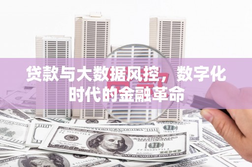 乐东贷款与大数据风控，数字化时代的金融革命