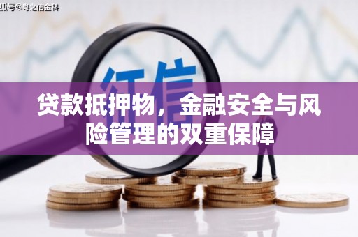 乐东贷款抵押物，金融安全与风险管理的双重保障