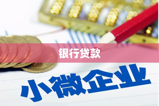 乐东银行贷款