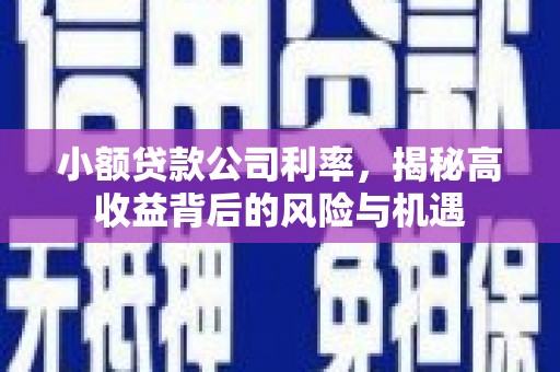 乐东小额贷款公司利率，揭秘高收益背后的风险与机遇