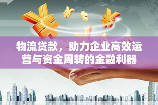 乐东物流贷款，助力企业高效运营与资金周转的金融利器
