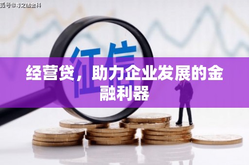 乐东经营贷，助力企业发展的金融利器