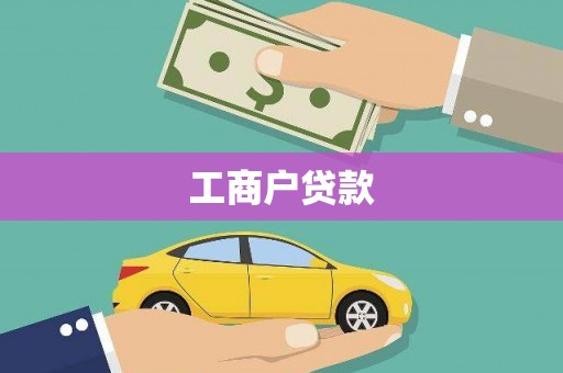 乐东工商户贷款