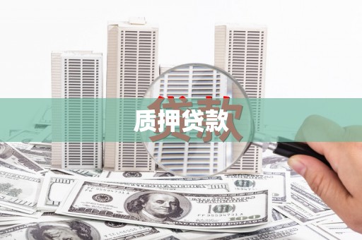 乐东质押贷款