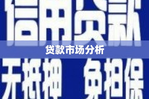 乐东贷款市场分析