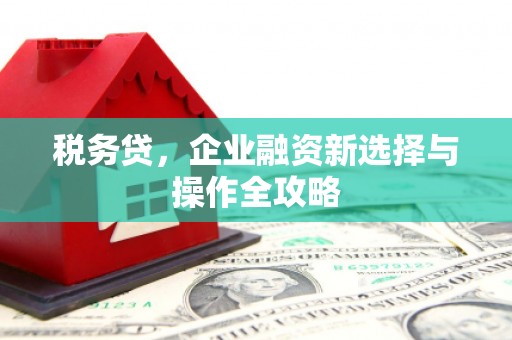 乐东税务贷，企业融资新选择与操作全攻略