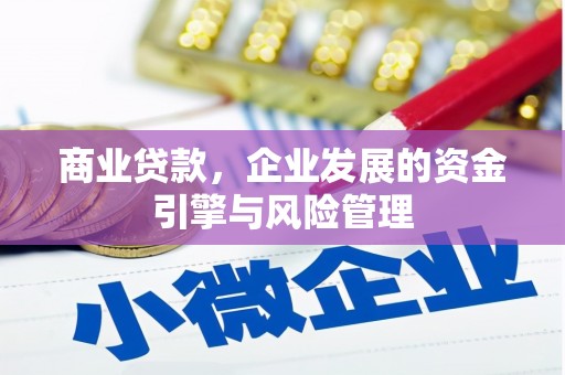 乐东商业贷款，企业发展的资金引擎与风险管理