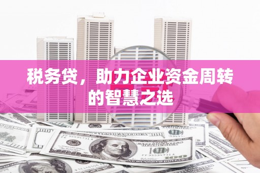 乐东税务贷，助力企业资金周转的智慧之选