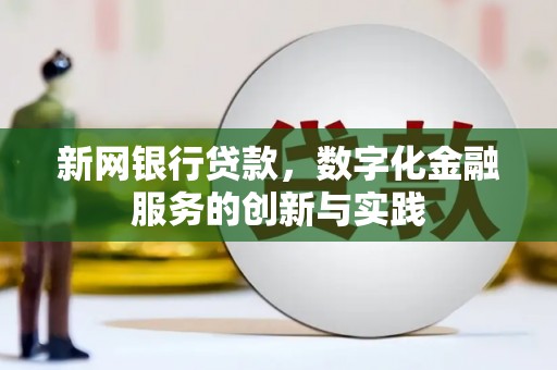 乐东新网银行贷款，数字化金融服务的创新与实践