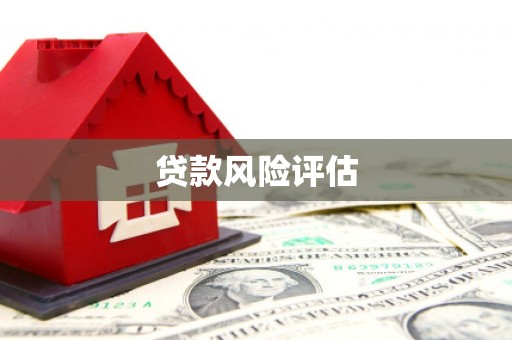乐东贷款风险评估