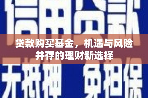 乐东贷款购买基金，机遇与风险并存的理财新选择