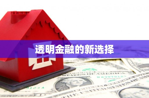 乐东透明金融的新选择