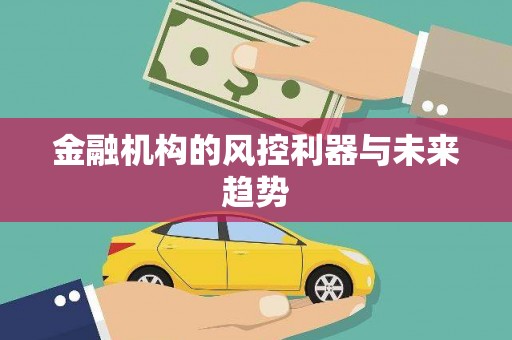 乐东金融机构的风控利器与未来趋势