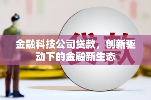 乐东金融科技公司贷款，创新驱动下的金融新生态