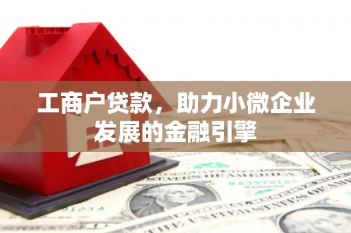 乐东工商户贷款，助力小微企业发展的金融引擎