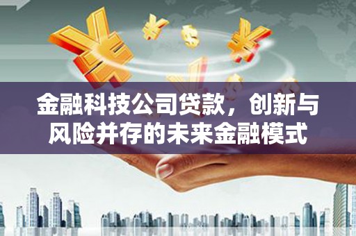 乐东金融科技公司贷款，创新与风险并存的未来金融模式