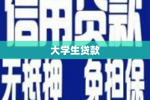 乐东大学生贷款