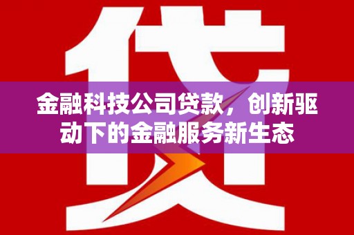 乐东金融科技公司贷款，创新驱动下的金融服务新生态