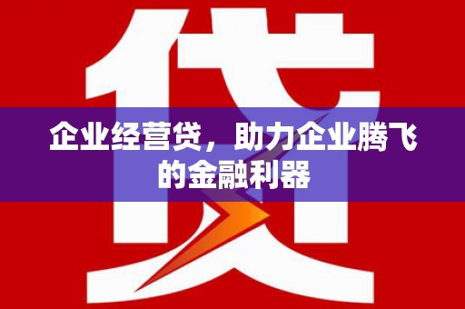 乐东企业经营贷，助力企业腾飞的金融利器