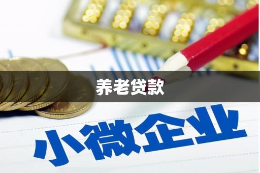乐东养老贷款