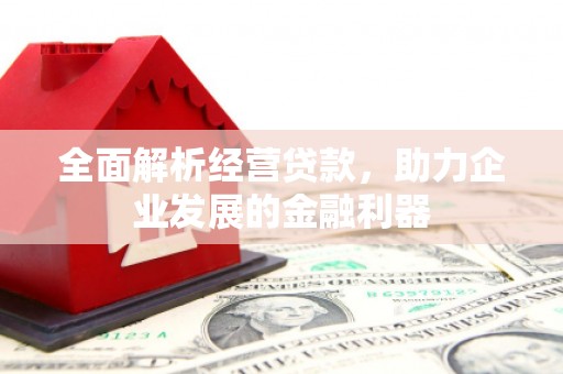 乐东全面解析经营贷款，助力企业发展的金融利器