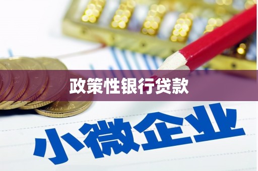 乐东政策性银行贷款