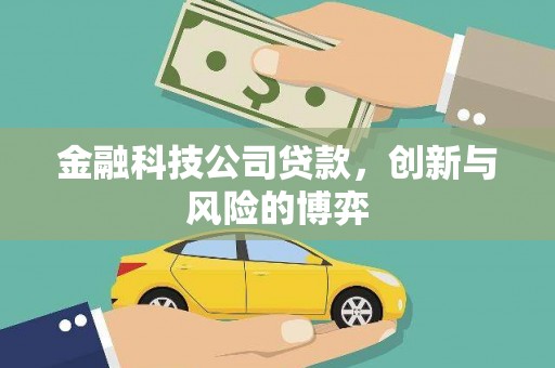 乐东金融科技公司贷款，创新与风险的博弈
