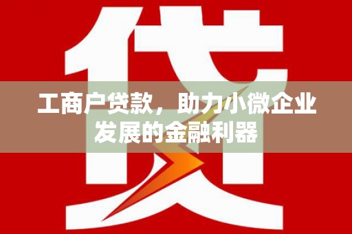 乐东工商户贷款，助力小微企业发展的金融利器